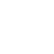 Element Element